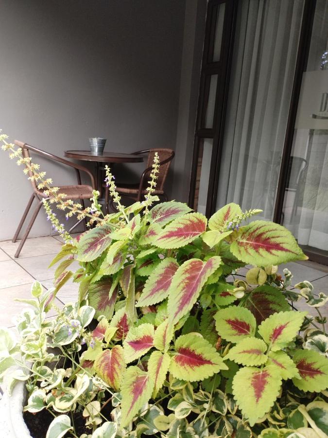Ditsaleng Bed And Breakfast Vanderbijlpark Ngoại thất bức ảnh
